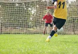 曼联逆袭两,贝托四连射,费支援,平博体育官方,平博体育在线官网,平博体育线上,平博体育APP